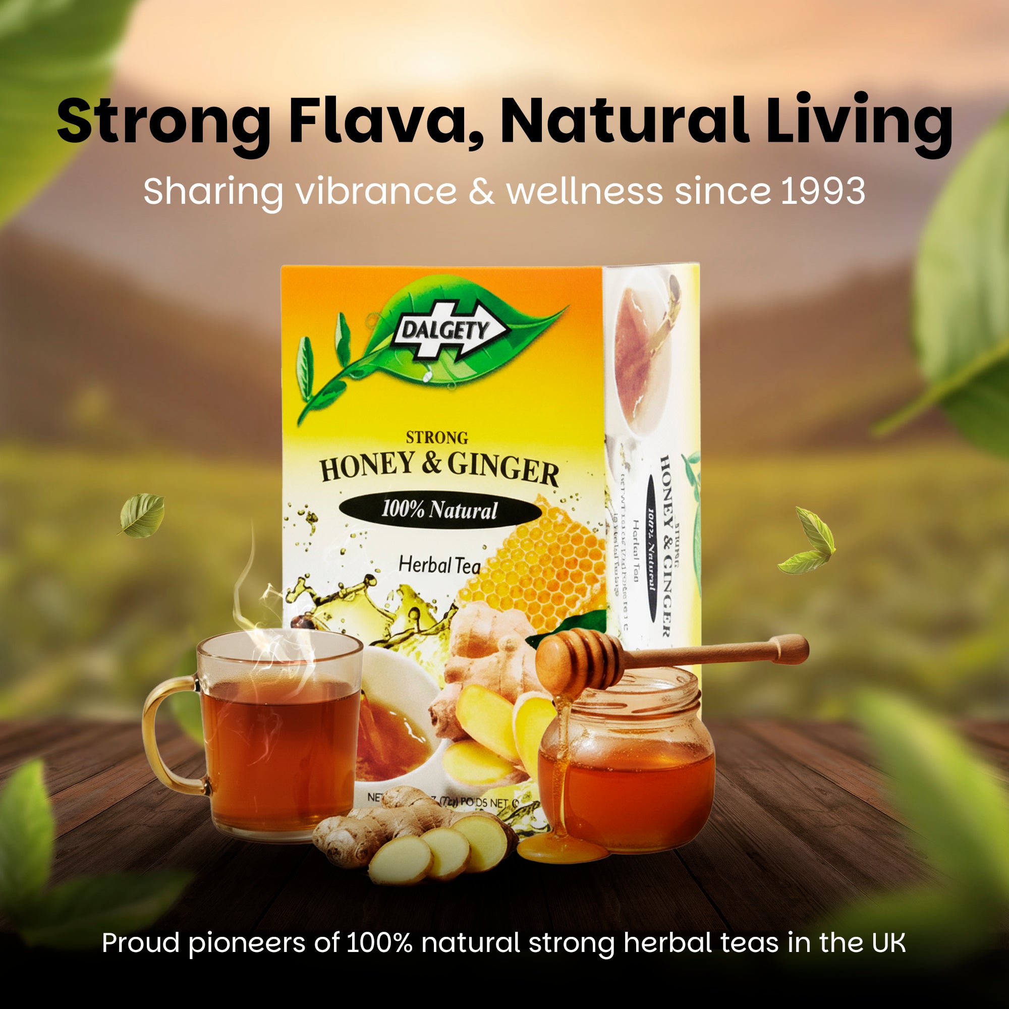 Dalgety Honey & Ginger Herbal Infusion (carton 72g)